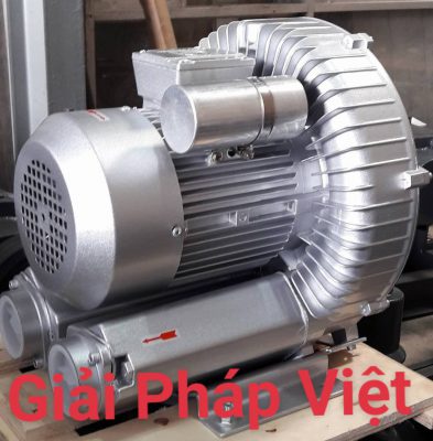 Img 20210119 143803 393x400 6